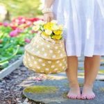 Creative Garden Decor Tricks & Tips